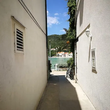Appartamento Vukotic House
