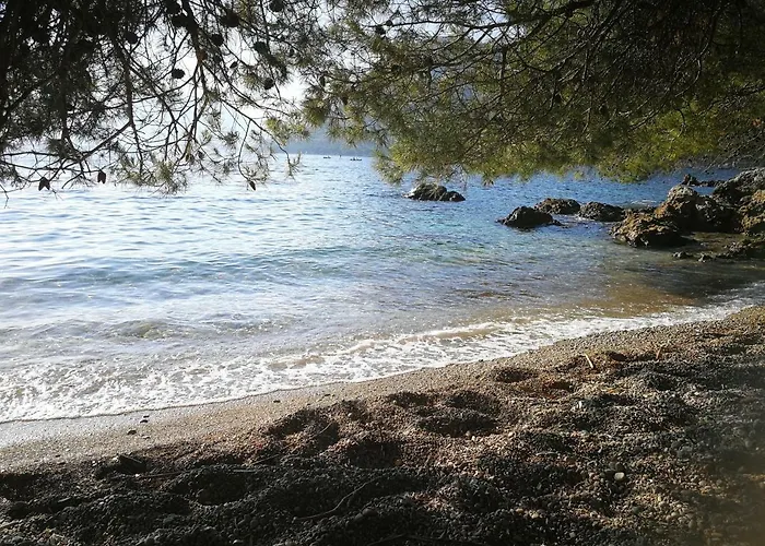 Apartamento Vukotic House