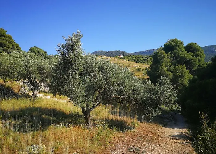 Apartamento Vukotic House Žuljana