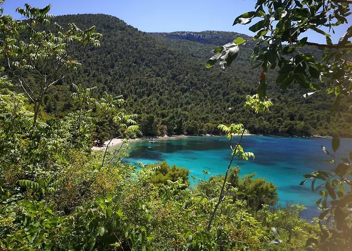 Apartamento Vukotic House Žuljana