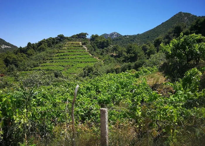 Apartamento Vukotic House