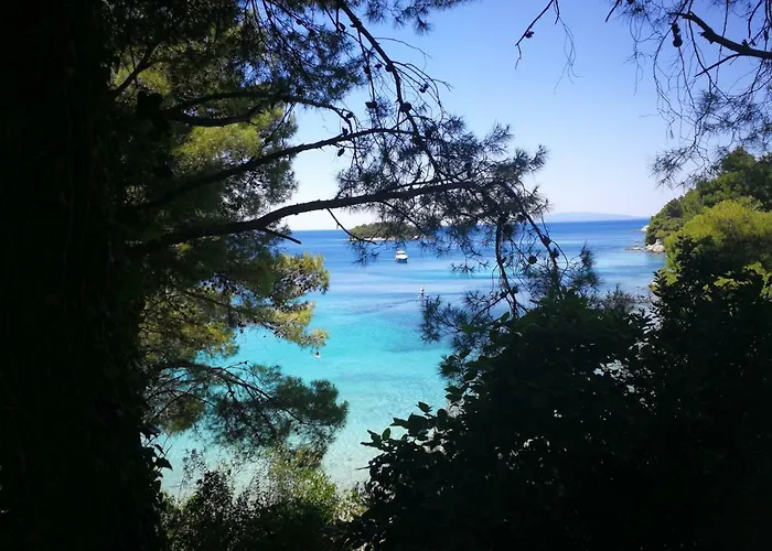 Apartamento Vukotic House